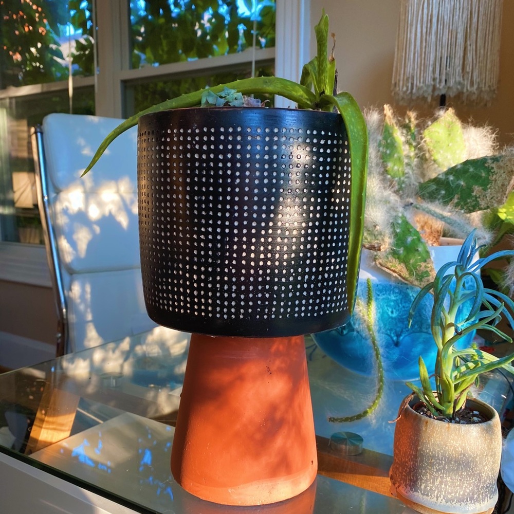 Handmade By Me Planter Terracota Dot 🔮 - Picture 15 of 16
